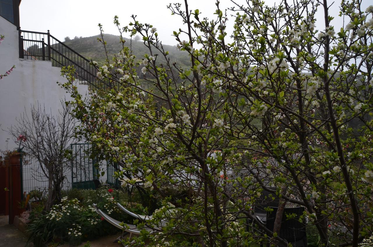 Appartement Rural Gomera Arure